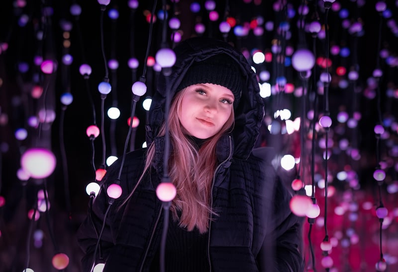Fairy Lights Wonderland